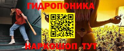 прущие грибы Новодвинск