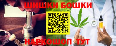 прущие грибы Новодвинск